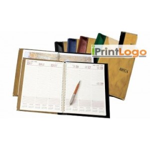DIARIES-IGT-SV8302